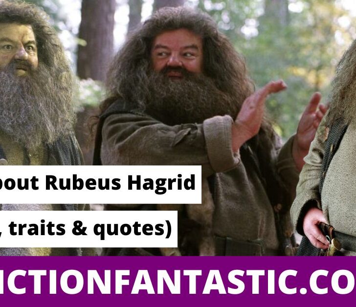 31 Facts About Rubeus Hagrid (Character, Traits & Quotes) – Fiction ...